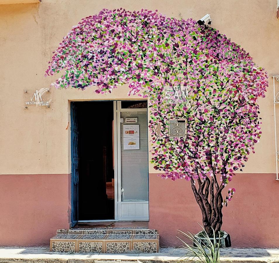 Meson Amelia Hotel San Miguel de Allende Bagian luar foto