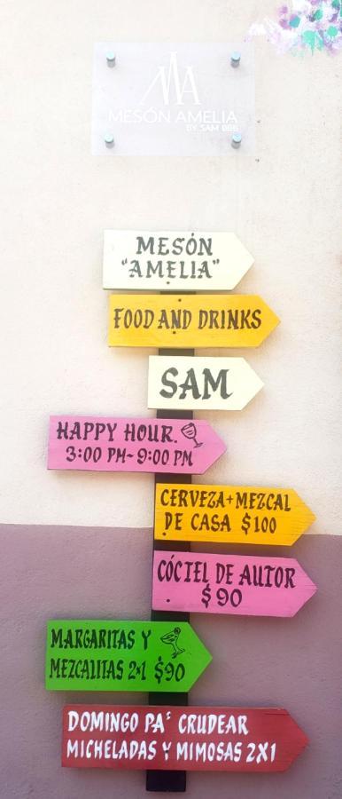 Meson Amelia Hotel San Miguel de Allende Bagian luar foto